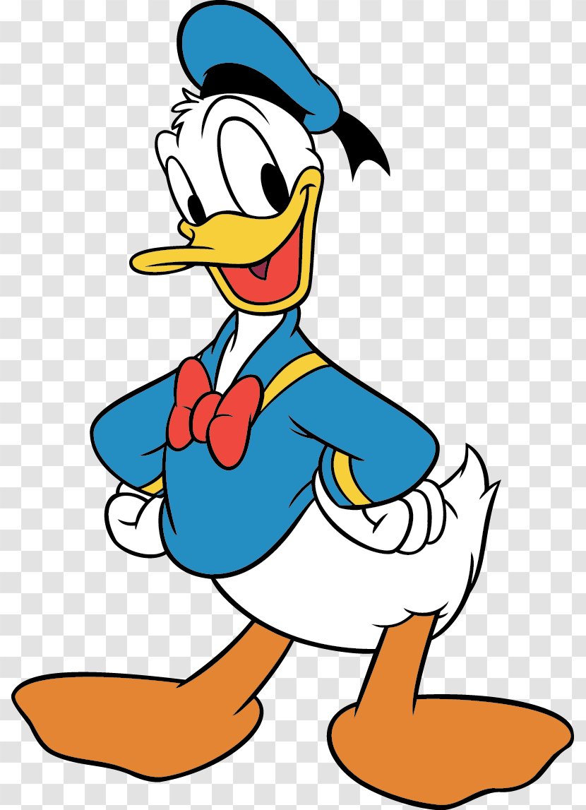 Donald Duck Daisy Coloring Book Pluto - Ducks Geese And Swans Transparent PNG