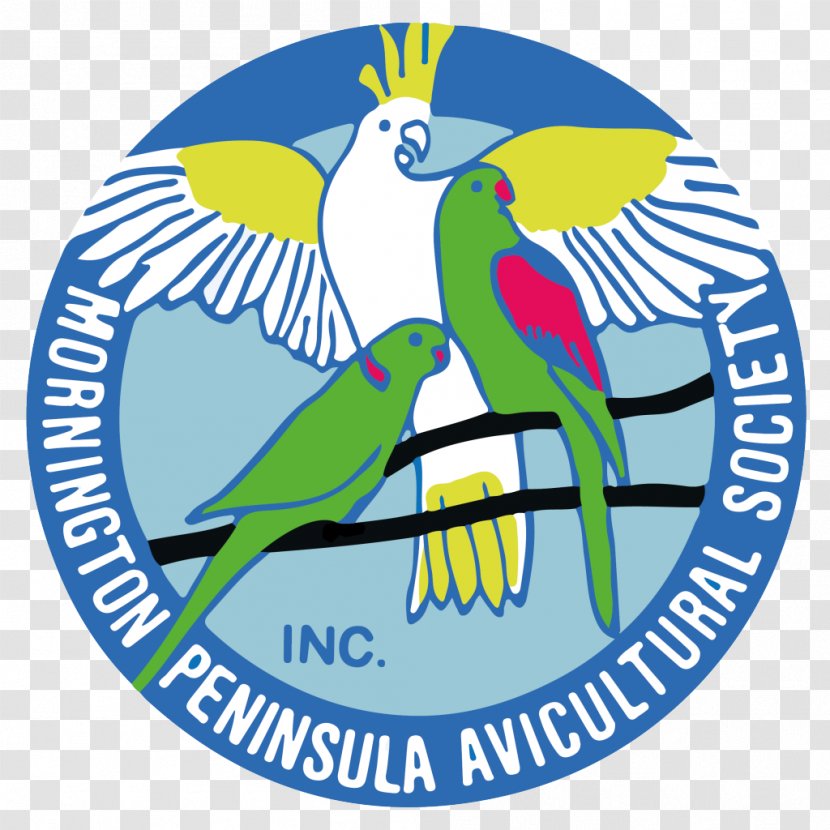 MPAS Mornington Peninsula Avicultural Society Bird Parrot Aviculture Macaw - Aviary Transparent PNG