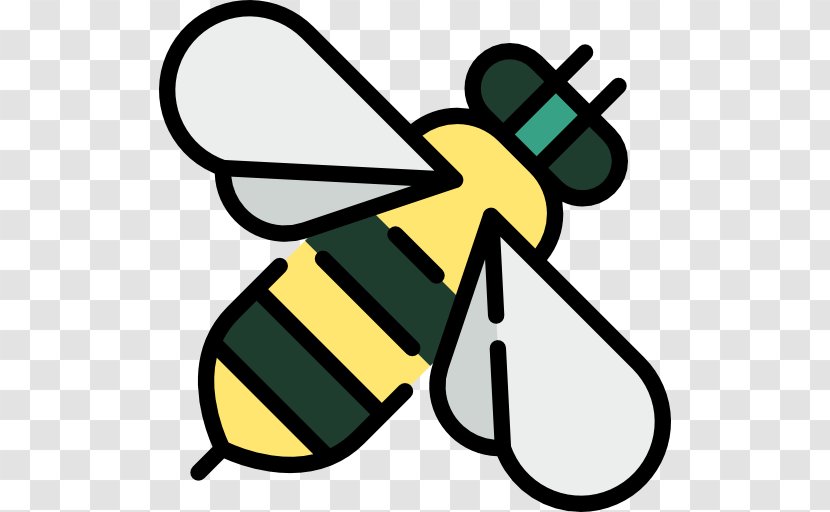 Honey Bee - Insect - Hive Transparent PNG