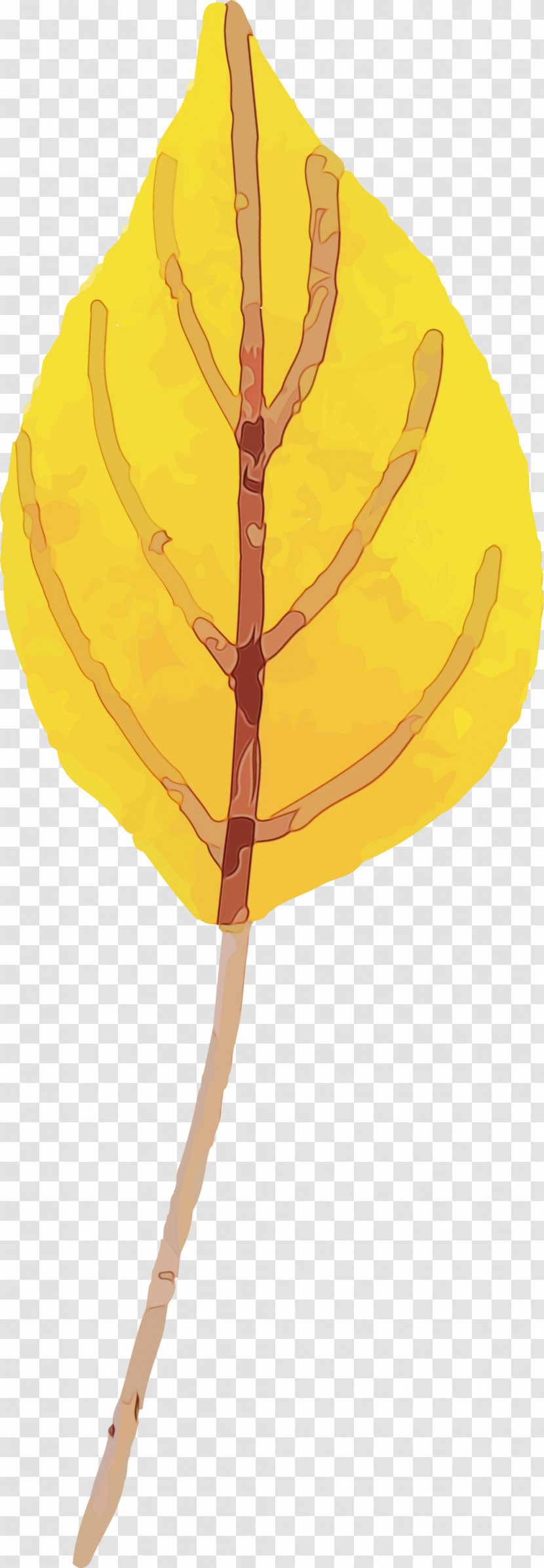 Leaf Yellow Tree Line Biology Transparent PNG