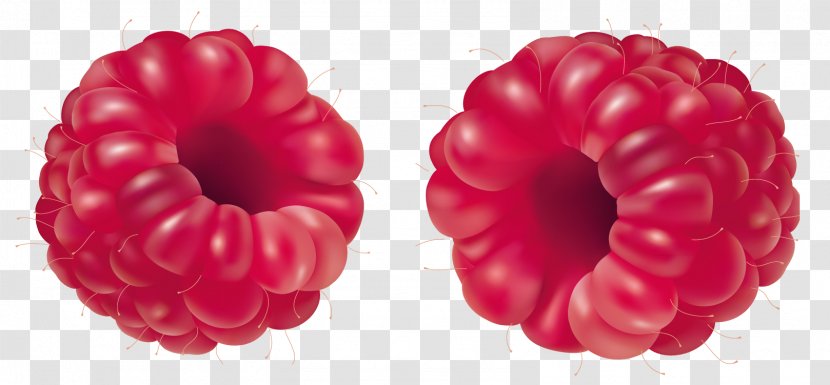 Raspberry Fruit Clip Art - Petal - Raspberries Clipart Picture Transparent PNG