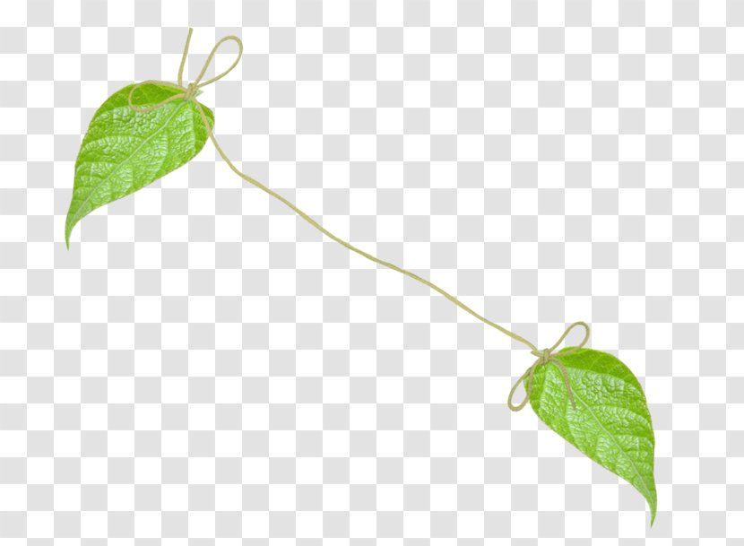 Leaf Branch Clip Art Plant Stem - Landmark Transparent PNG