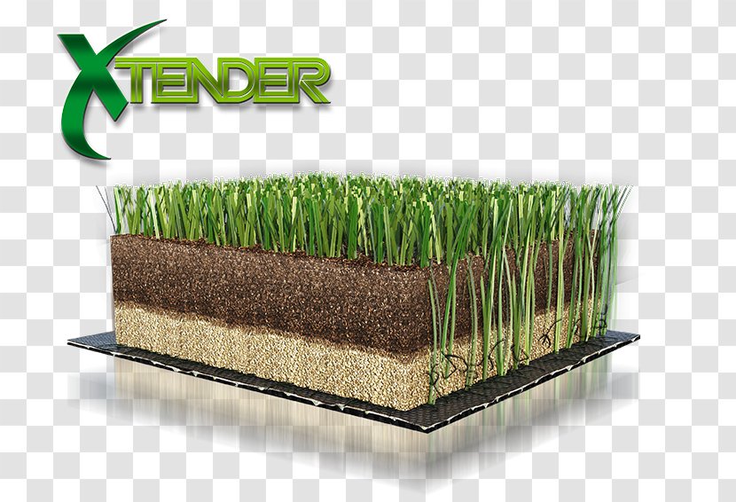 Lawn Artificial Turf Green FIFA 18 Wheatgrass - Tender Transparent PNG