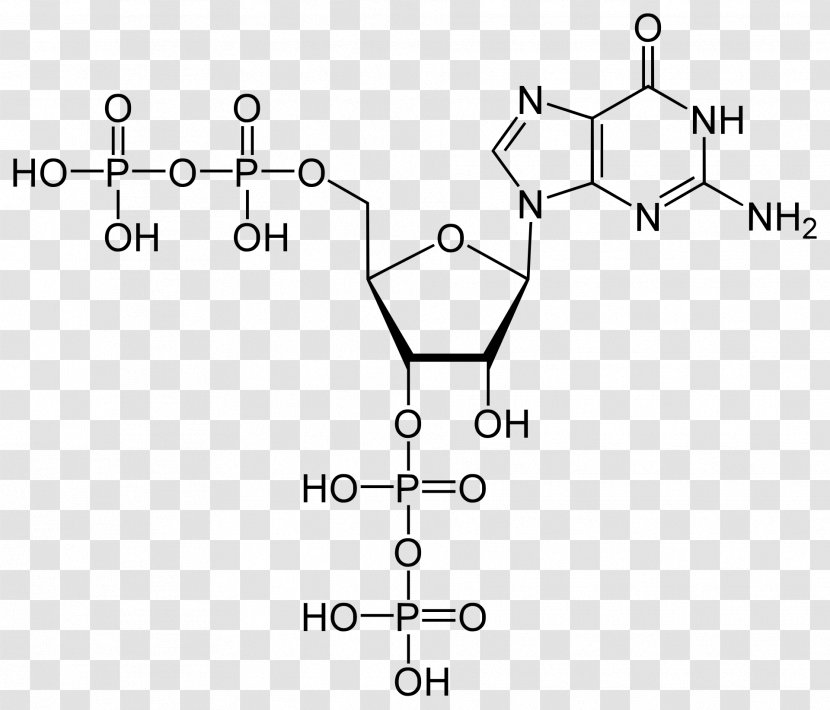 Adenosine Triphosphate Molecule Diphosphate Cellular Respiration - Chemical Energy Transparent PNG
