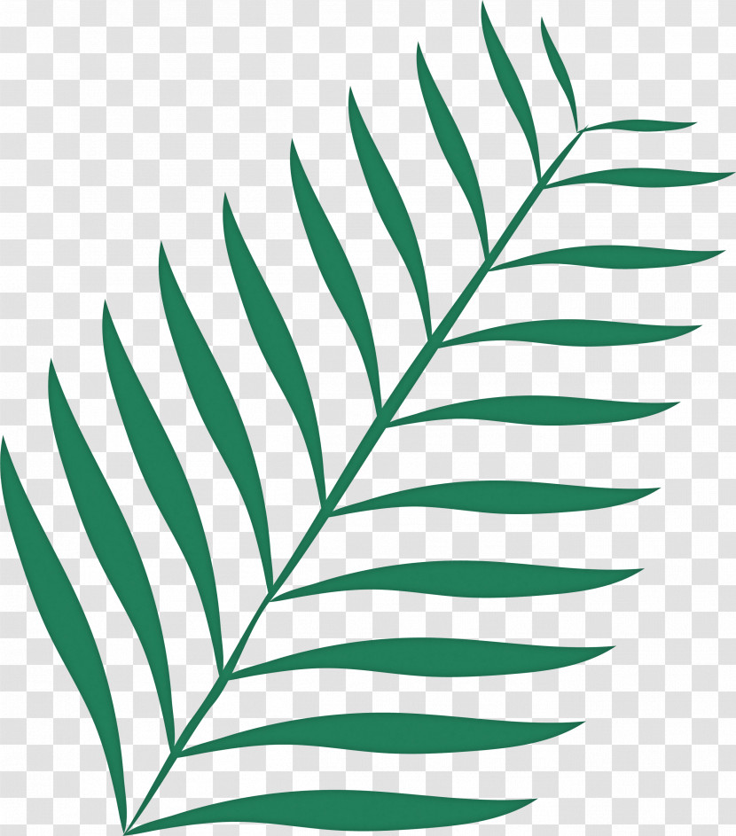 Leaf Transparent PNG