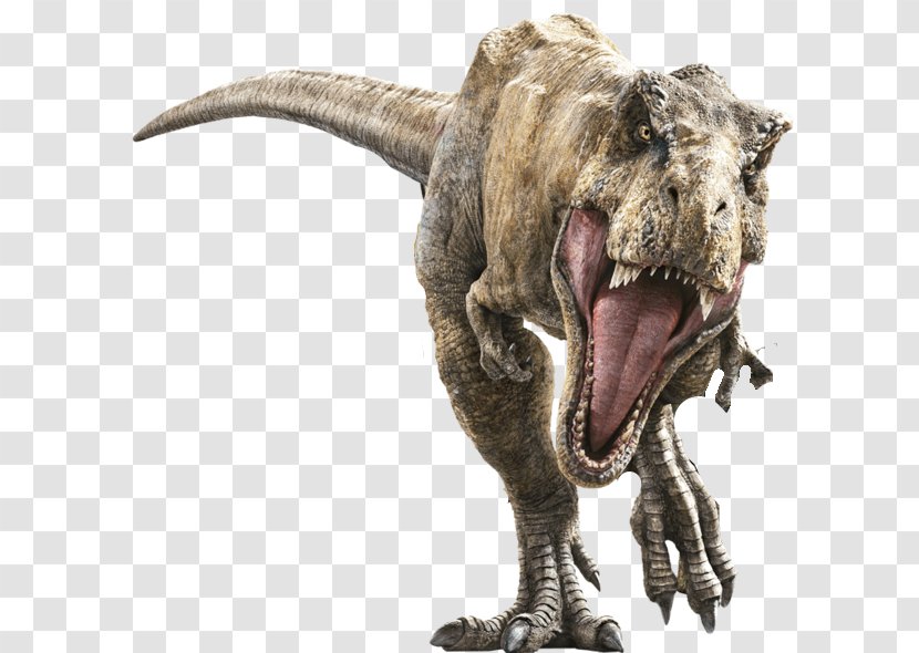 Tyrannosaurus Rex Jurassic Park Dinosaur Velociraptor Wall Decal - Suchomimus World Transparent PNG