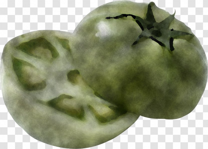 Tomato - Fruit - Nightshade Family Transparent PNG