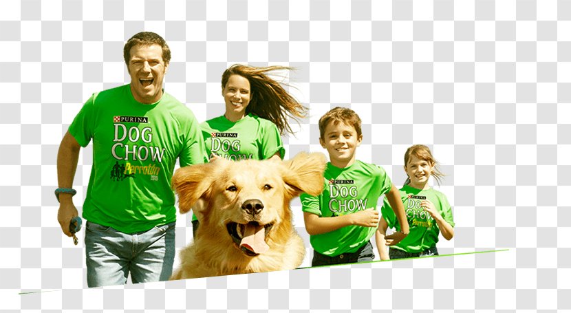 Dog Breed Companion T-shirt Human Behavior - Frame - Chow Puppies Transparent PNG