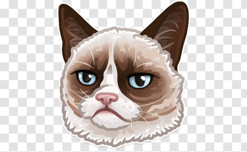 Sticker Telegram Decal Grumpy Cat Doge - Carnivoran - Android Transparent PNG