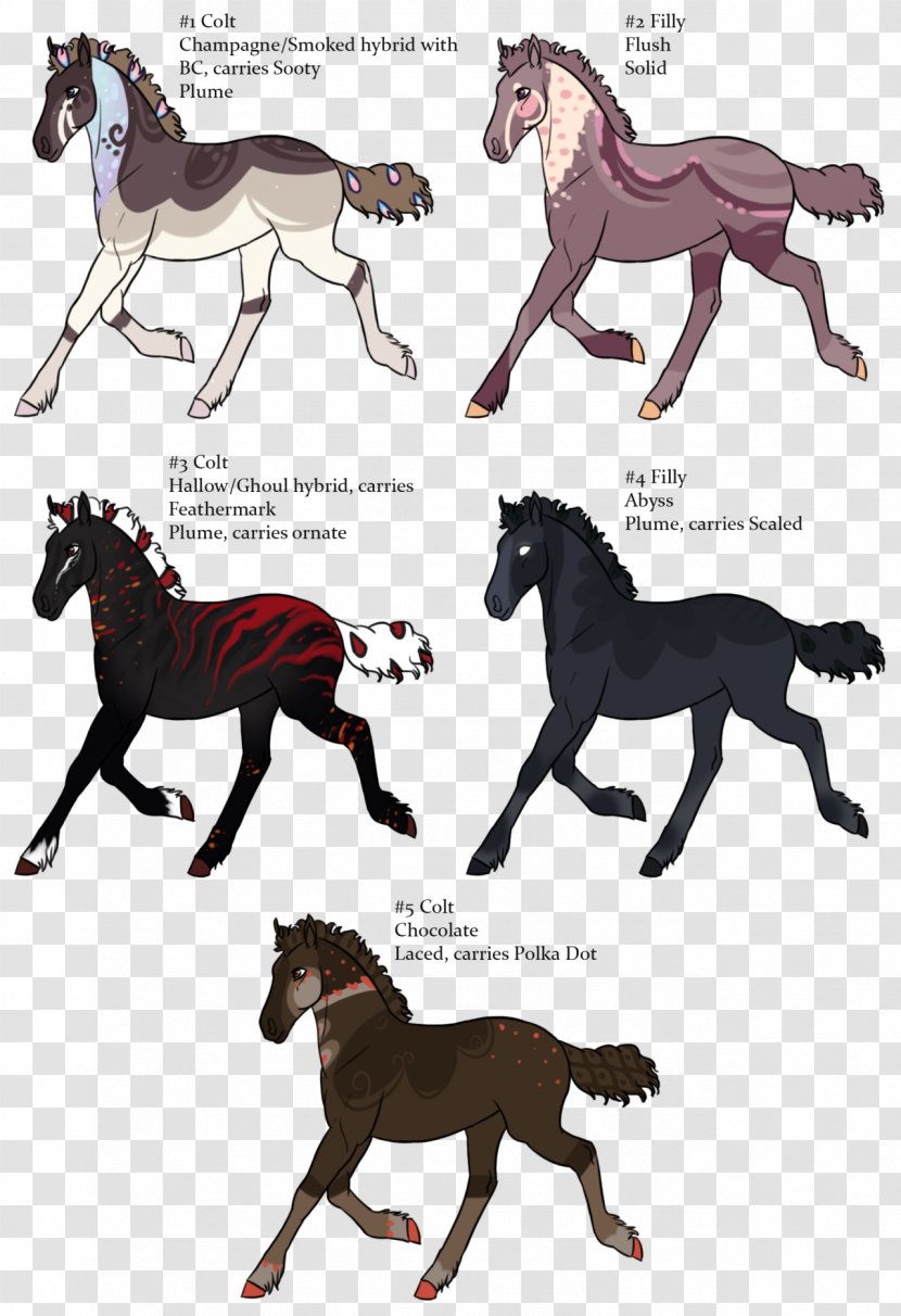 Mustang Stallion Foal Pony Pack Animal Transparent PNG