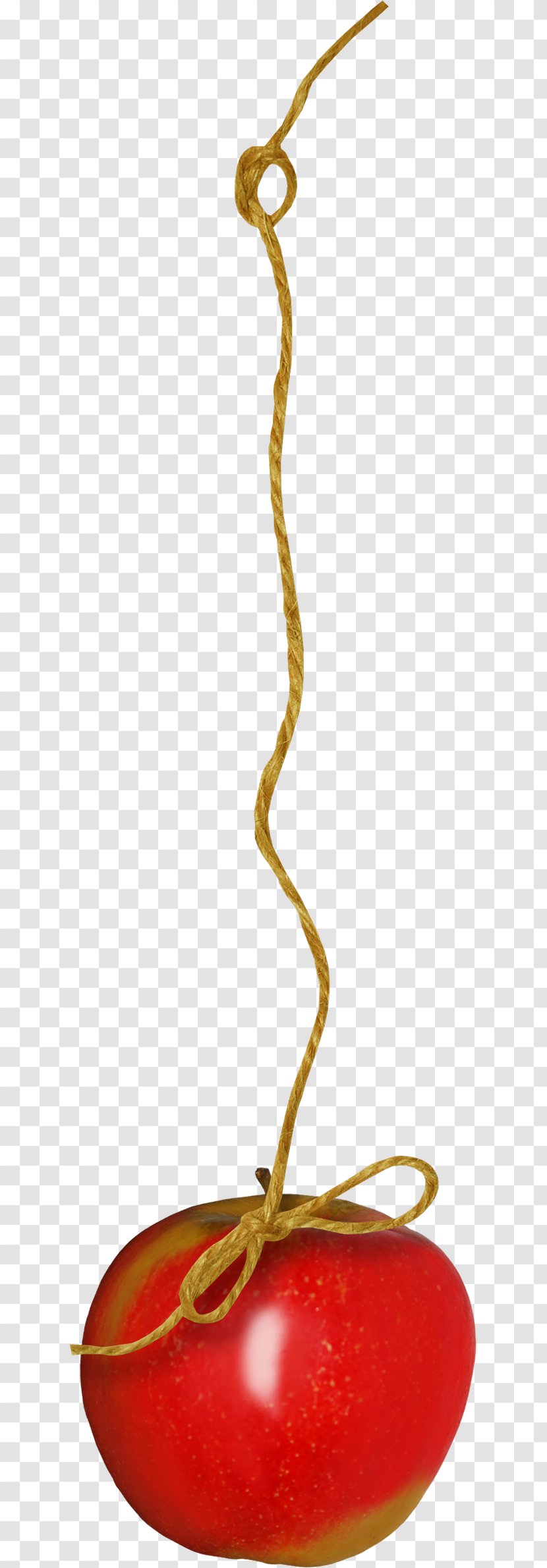 Paper Clip Art - I - Rope Transparent PNG