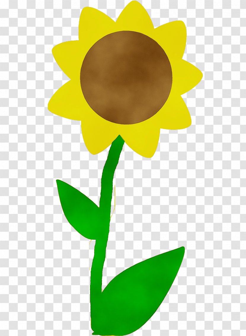 Sunflower - Plant - Stem Flowering Transparent PNG