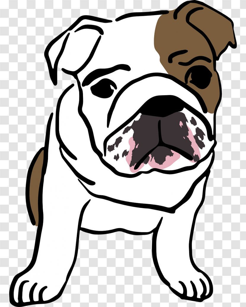 French Bulldog Olde English Bulldogge Puppy American - Pet Transparent PNG