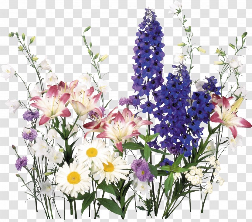 Flower Of The Fields Bouquet - Hand Painted Flowers Transparent PNG