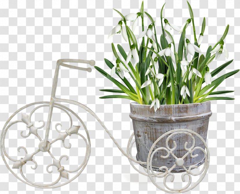 Email May 1 .de - Flowerpot - Tips Transparent PNG