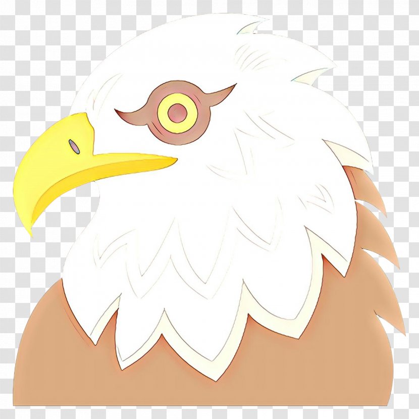 Eagle Bird - Character - Accipitriformes Bald Transparent PNG