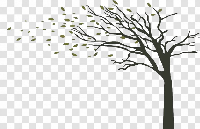 Tree Wind Branch Drawing - Flower - The Little Trees Under Autumn Transparent PNG