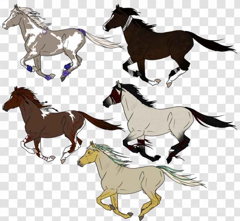 Mustang Foal Stallion Colt Rein - Equestrian - Chrysanths Transparent PNG
