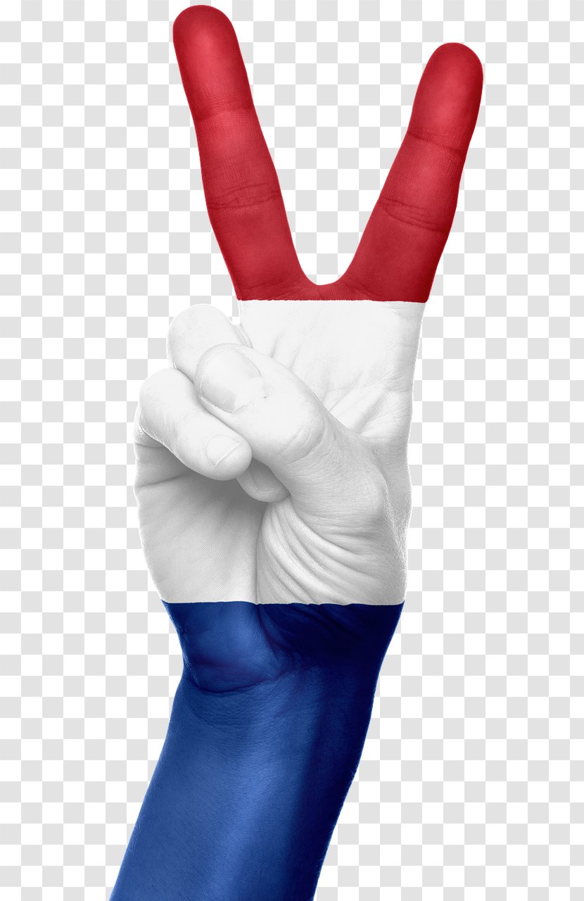 Flag Of The Netherlands Dutch Cypress Bay High School - Hand Transparent PNG