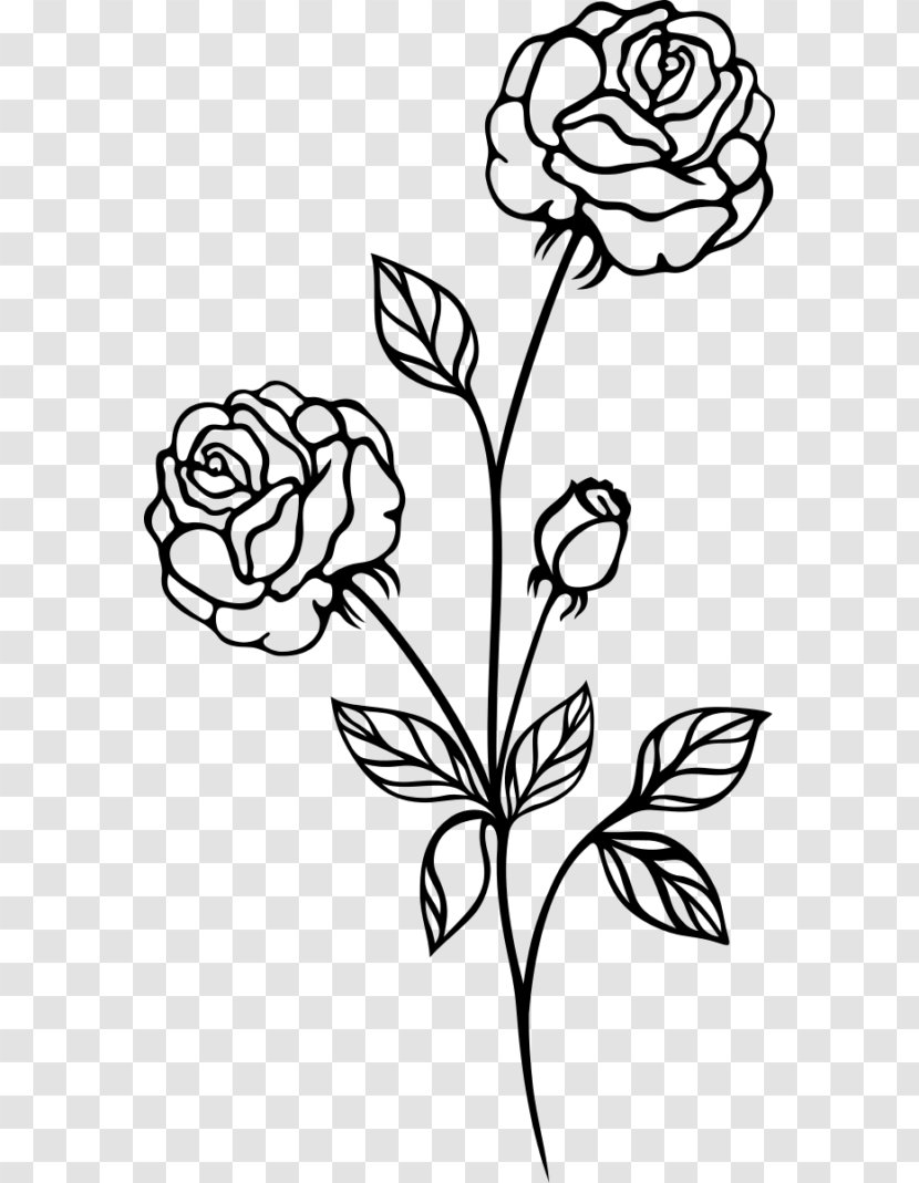 Drawing Rose Clip Art - Clipart Black And White Transparent Transparent PNG
