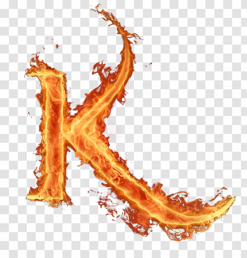 Letter English Alphabet K - Organism - LETRA M Transparent PNG