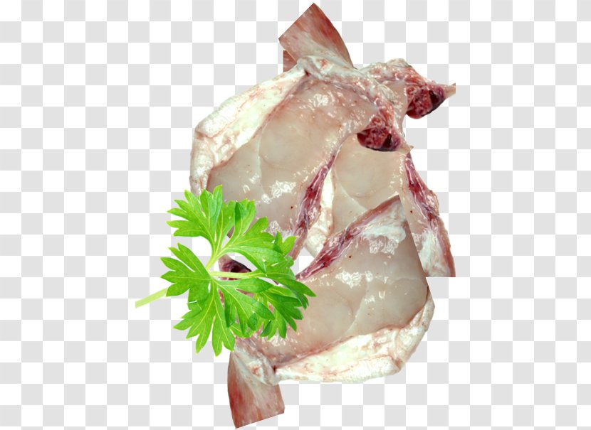 Fish Fillet Seafood Cod - Meat - Hotpot Transparent PNG