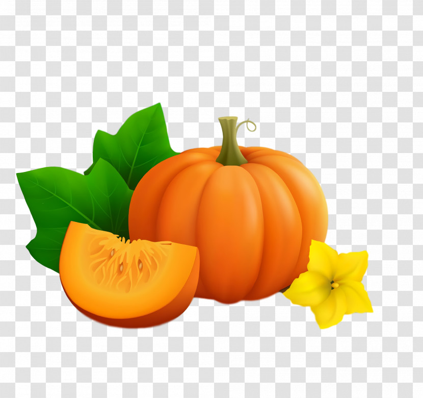 Thanksgiving Autumn Harvest Transparent PNG