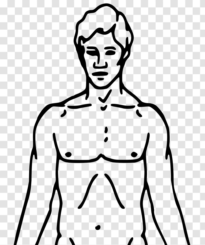Clip Art Human Body Openclipart Drawing Vector Graphics - Watercolor - Trunk Clipart Transparent PNG