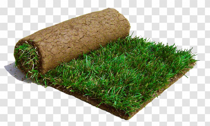 Tall Fescue Central Sod Farms Lawngrass - Lawn - SOIL Transparent PNG