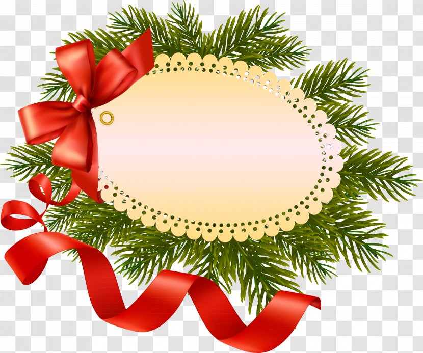 Christmas - Ornament - Fir Transparent PNG