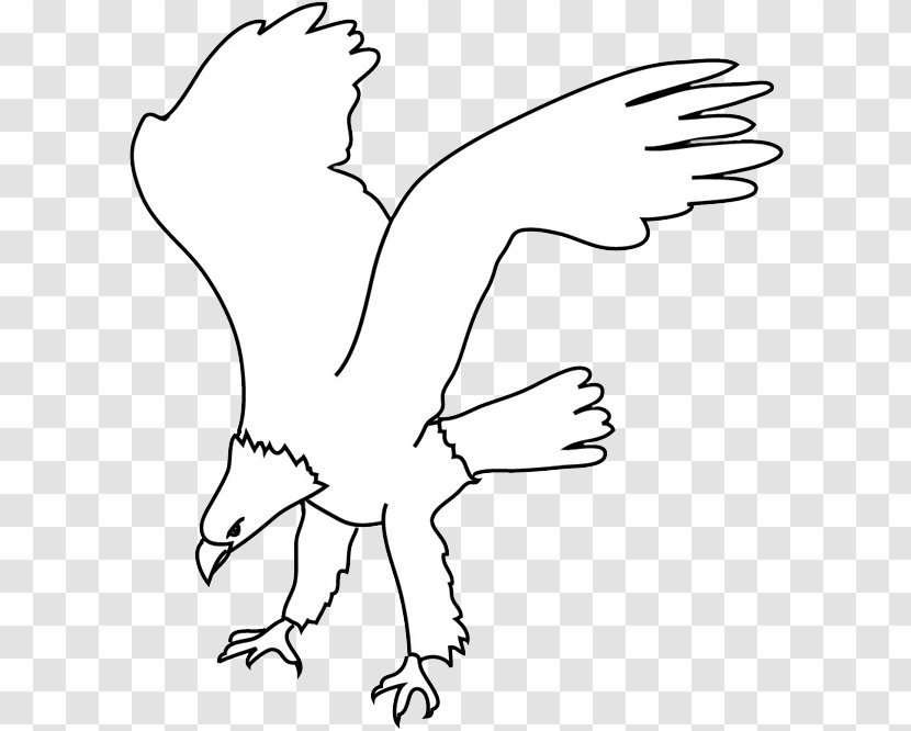 Bald Eagle Clip Art - Cartoon Transparent PNG