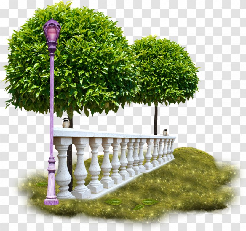 Gardening Trees For Small Gardens Flower Garden - Shrub - Tree Transparent PNG