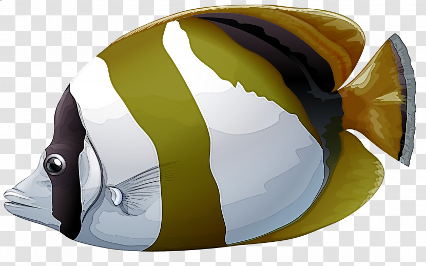 Fish Helmet Butterflyfish Personal Protective Equipment Fish Transparent PNG