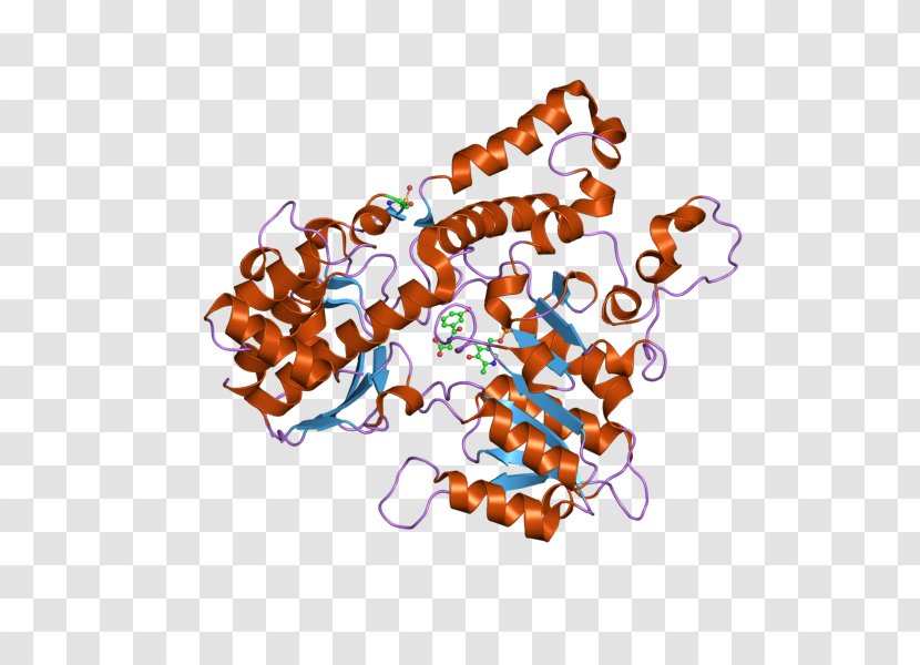 Kynureninase Human Biochemistry Enzyme Kynurenine - Structure - Crystal Transparent PNG
