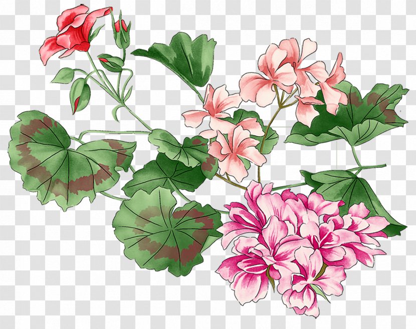 Flower Plant - Floral Design - Handpainted Flowers Transparent PNG