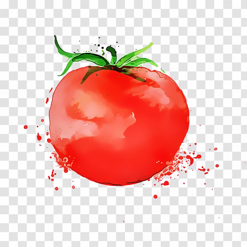 Tomato Cartoon - Still Life Photography - Vegan Nutrition Vegetarian Food Transparent PNG