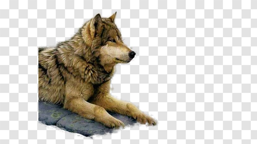 Painting Art Museum Gray Wolf Paint By Number - Dog Like Mammal Transparent PNG