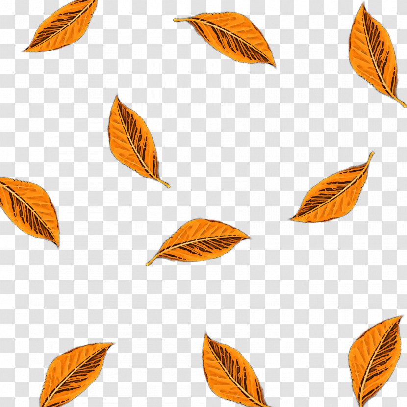 Orange Transparent PNG