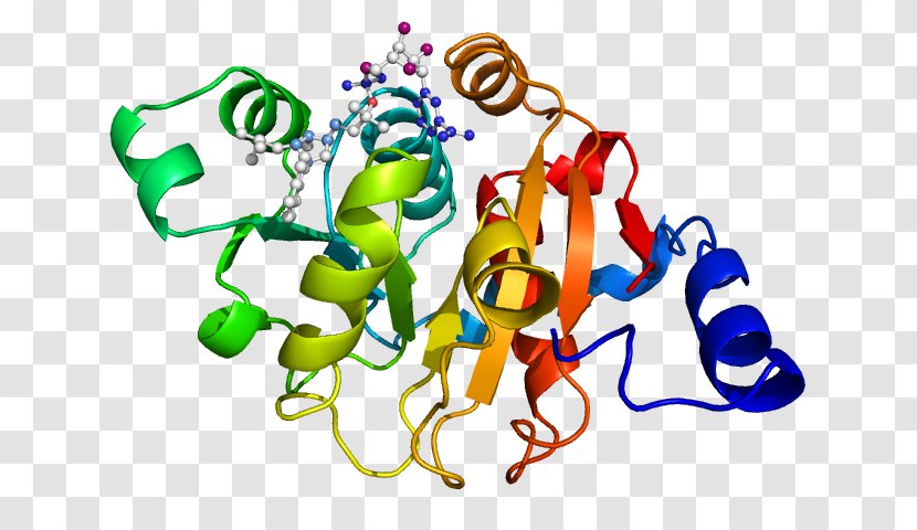 Protein Gene Expression Ketol-acid Reductoisomerase Clip Art - Rna - Human Behavior Transparent PNG