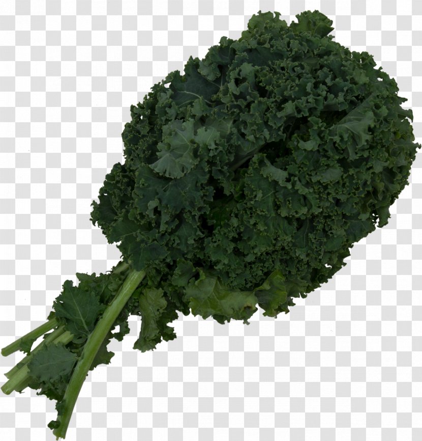 Kale Smoothie Collard Greens Spring Broccoli - Rapini Transparent PNG