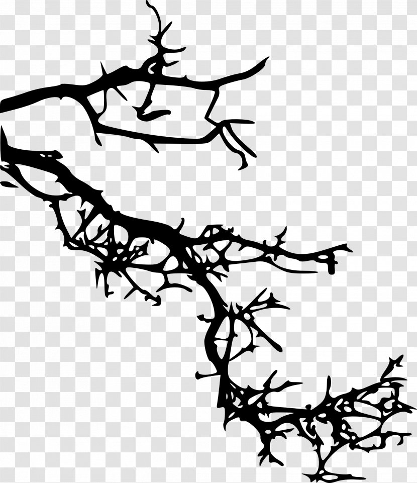 Tree Branch Silhouette - Plant Stem - Coloring Book Transparent PNG