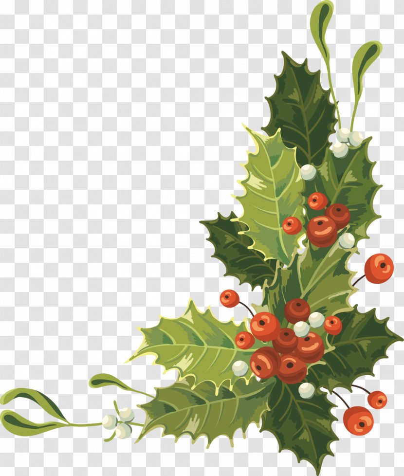 Christmas Card Royalty-free - Aquifoliaceae - Vintage Transparent PNG