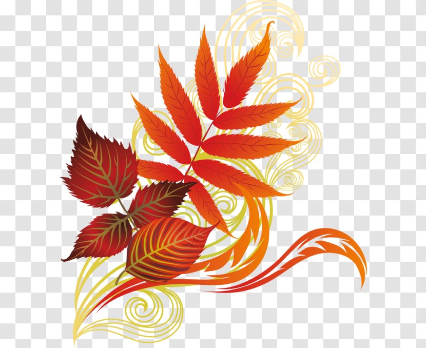 Clip Art Leaf Drawing Image Autumn Transparent PNG