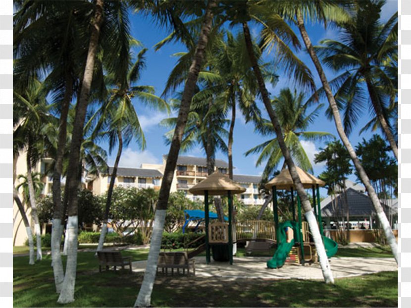 Divi Southwinds Beach Resort Hotel - Tropics Transparent PNG