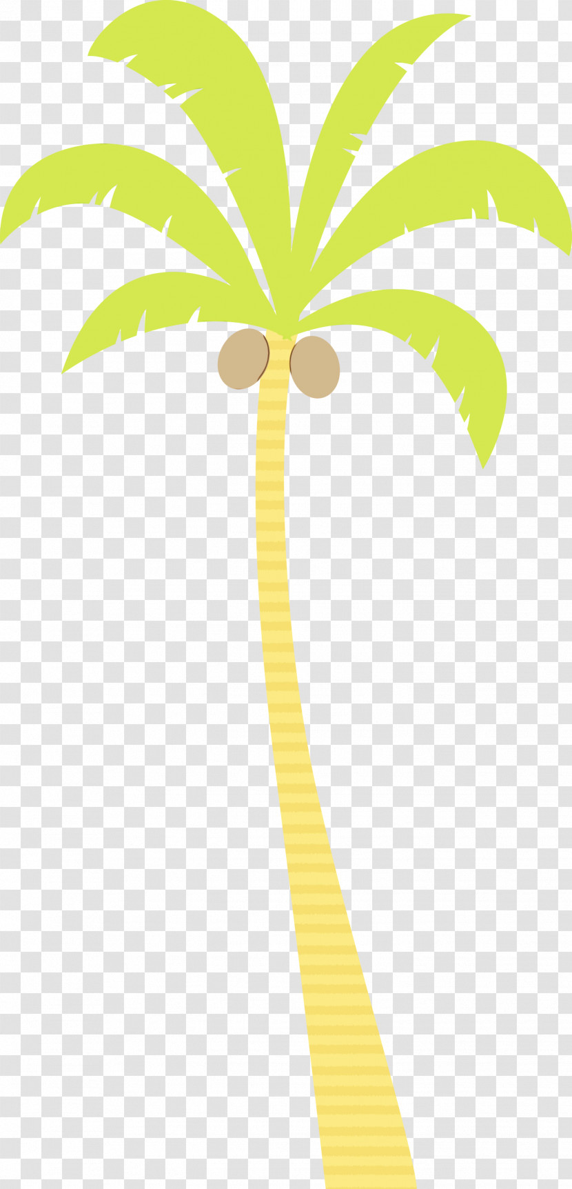 Palm Trees Transparent PNG