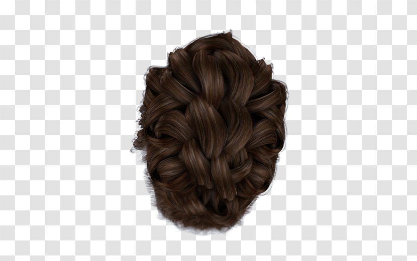 Long Hair Bun Braid Brown Transparent PNG