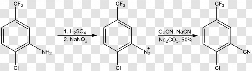 Sandmeyer Reaction Diazonium Compound Chemical Organic Chemistry - Structure Transparent PNG