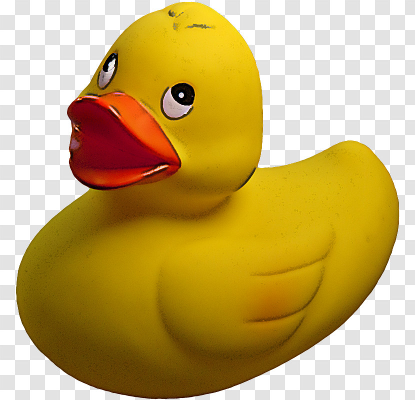 Rubber Ducky Bath Toy Yellow Bird Ducks, Geese And Swans Transparent PNG