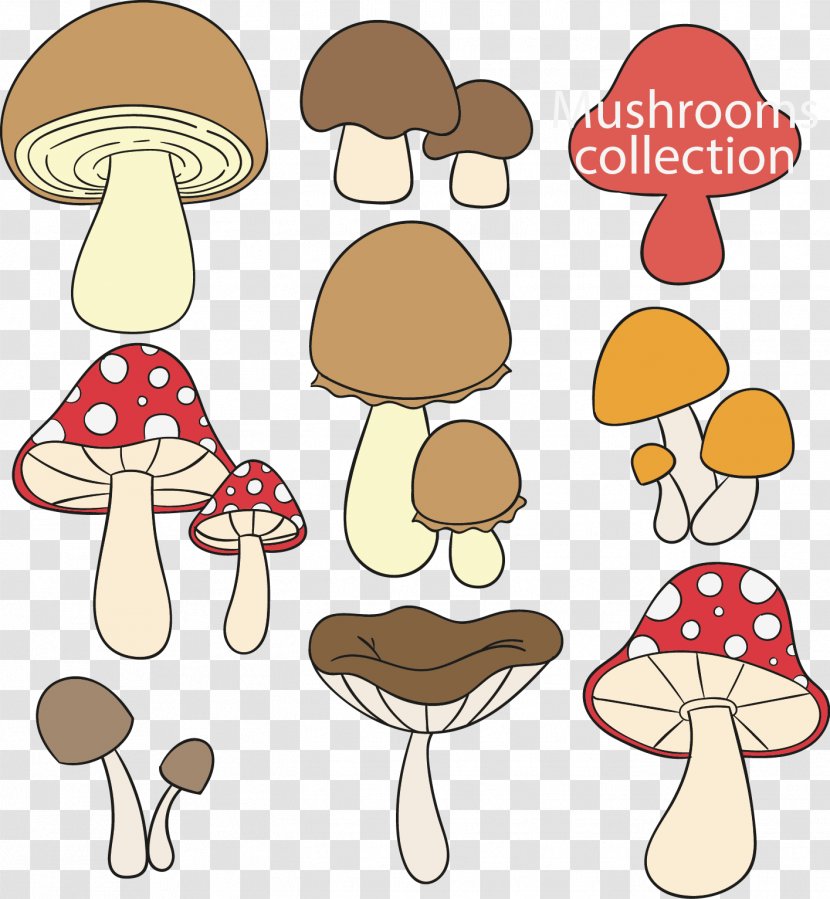 Edible Mushroom Fungus Drawing - Photography - Vector Hand-drawn Cartoon Transparent PNG