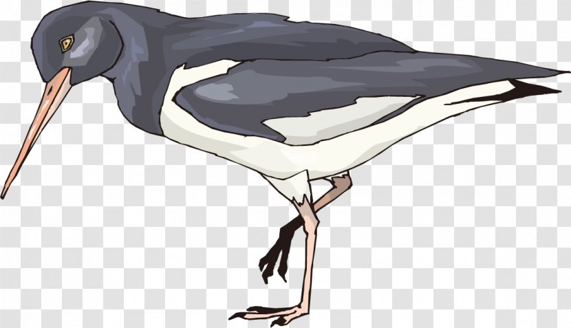 Watercolor Painting Bird Crane - Avianca Ornament Transparent PNG